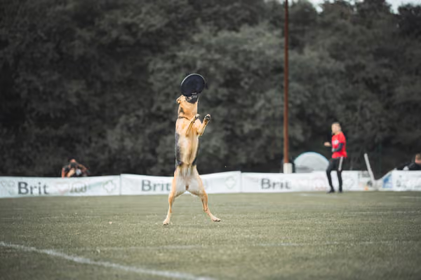 USDDN 25.9.2026 – 25. září 2026