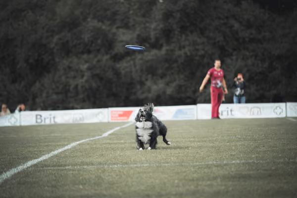 USDDN 25.9.2026 – 25. září 2026