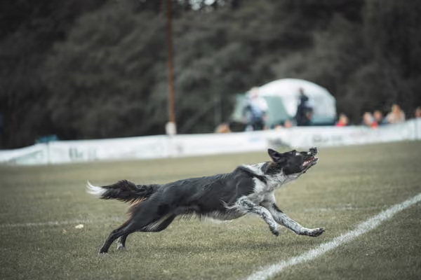 USDDN 25.9.2026 – 25. září 2026