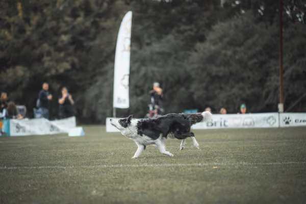 USDDN 25.9.2026 – 25. září 2026