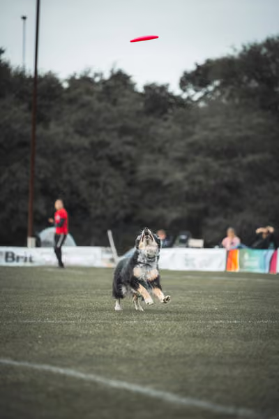 USDDN 25.9.2026 – 25. září 2026