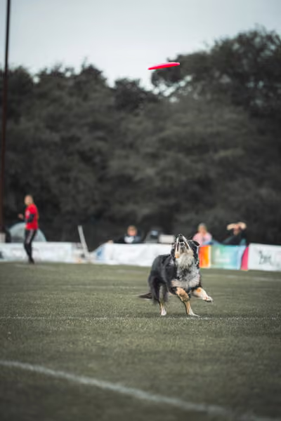 USDDN 25.9.2026 – 25. září 2026