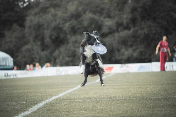 USDDN 25.9.2026 – 25. září 2026