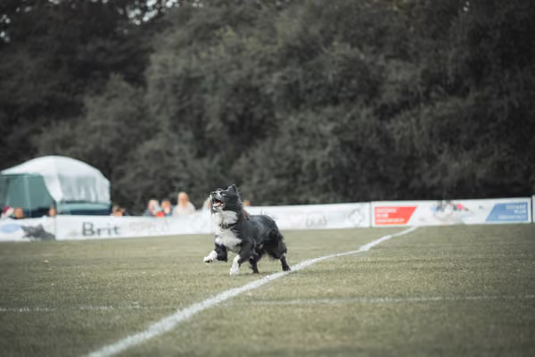 USDDN 25.9.2026 – 25. září 2026