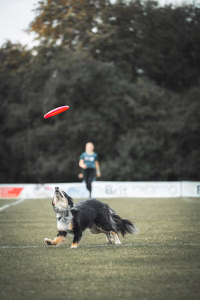 USDDN 25.9.2026 – 25. září 2026