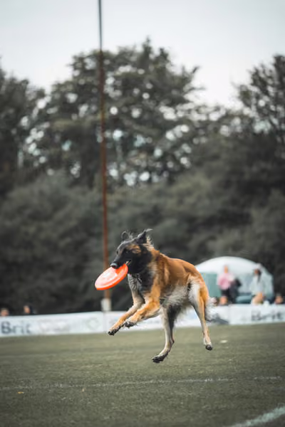 USDDN 25.9.2026 – 25. září 2026