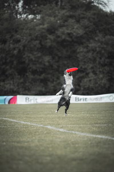 USDDN 25.9.2026 – 25. září 2026