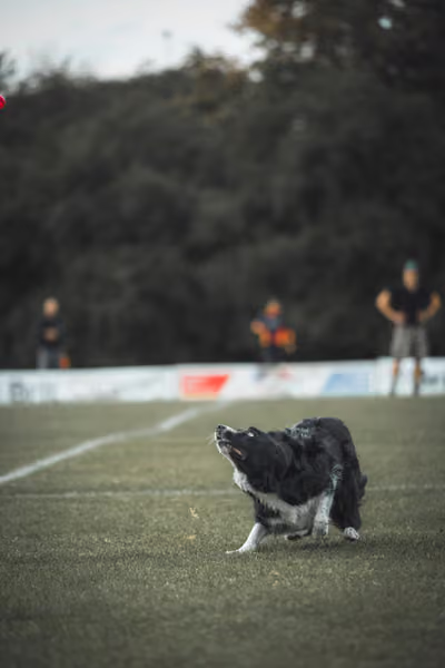 USDDN 25.9.2026 – 25. září 2026