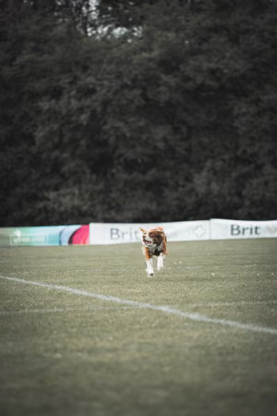 USDDN 25.9.2026 – 25. září 2026