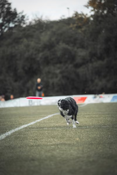 USDDN 25.9.2026 – 25. září 2026