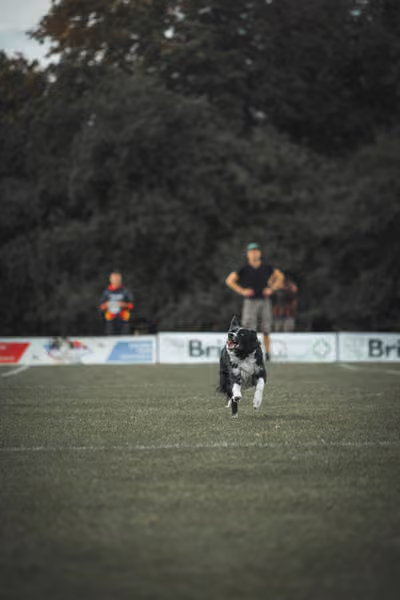 USDDN 25.9.2026 – 25. září 2026