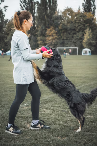 USDDN 25.9.2026 – 25. září 2026