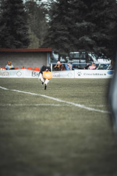 USDDN 25.9.2026 – 25. září 2026