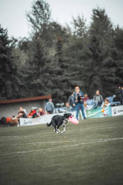 USDDN 25.9.2026 – 25. září 2026