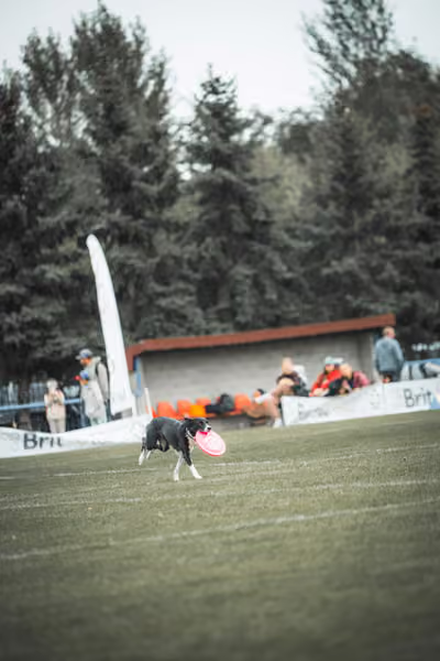 USDDN 25.9.2026 – 25. září 2026
