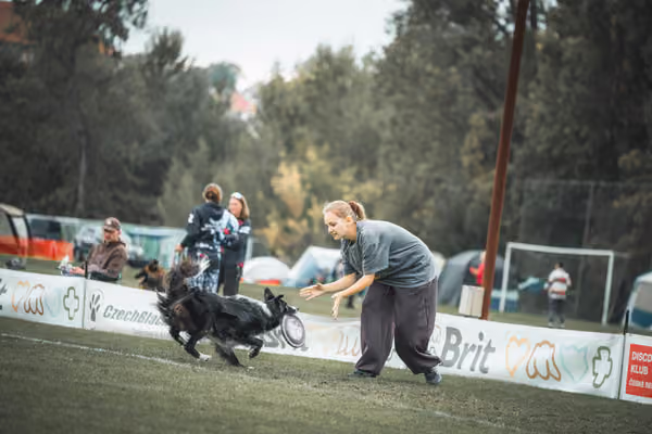 USDDN 25.9.2026 – 25. září 2026