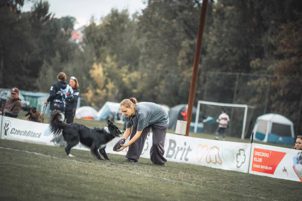 USDDN 25.9.2026 – 25. září 2026