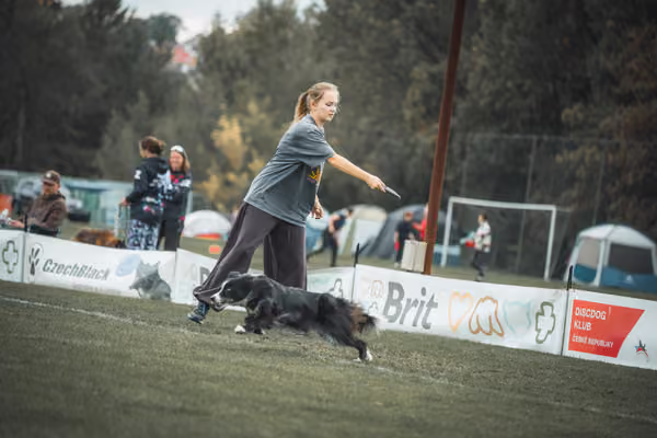 USDDN 25.9.2026 – 25. září 2026