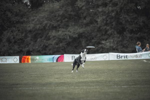 USDDN 25.9.2026 – 25. září 2026