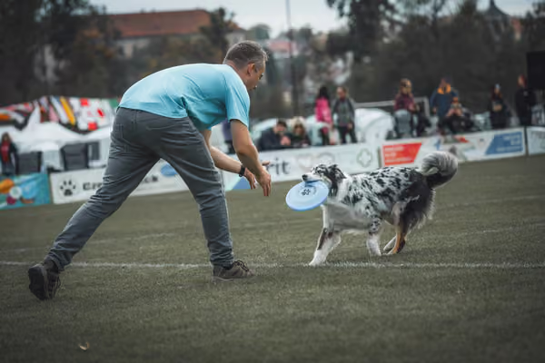 USDDN 25.9.2026 – 25. září 2026