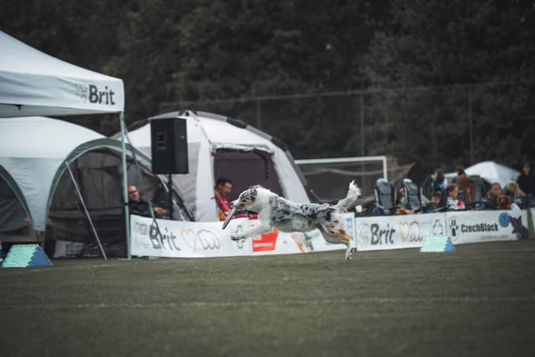 USDDN 25.9.2026 – 25. září 2026