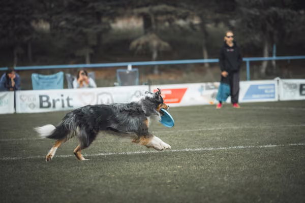 USDDN 25.9.2026 – 25. září 2026