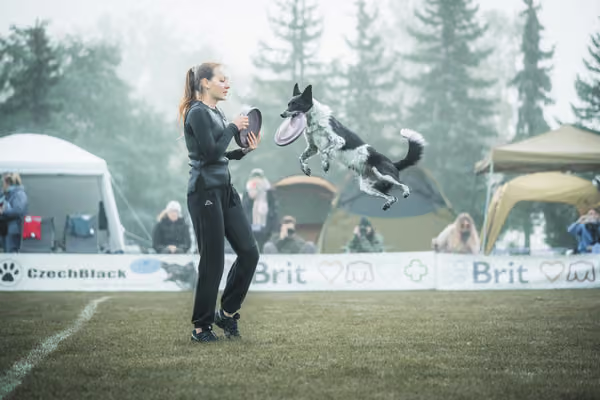USDDN 26.9.2026 – 26. září 2026