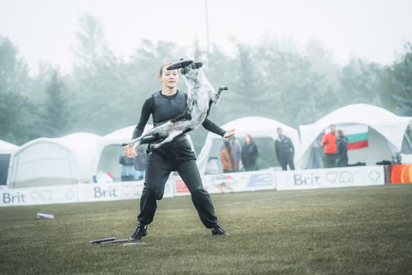 USDDN 26.9.2026 – 26. září 2026