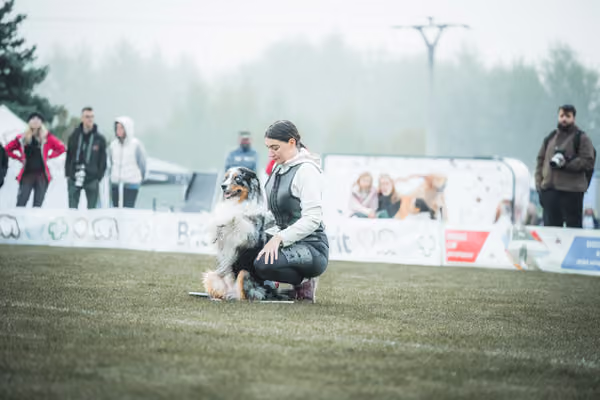 USDDN 26.9.2026 – 26. září 2026