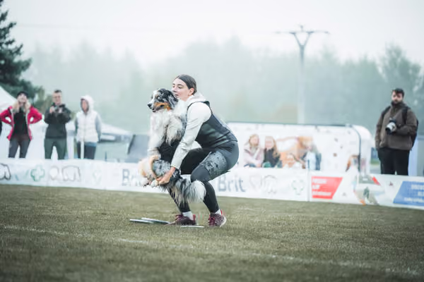 USDDN 26.9.2026 – 26. září 2026