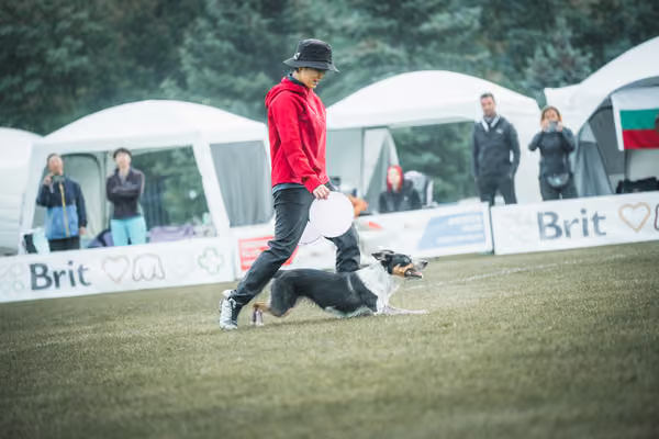 USDDN 26.9.2026 – 26. září 2026