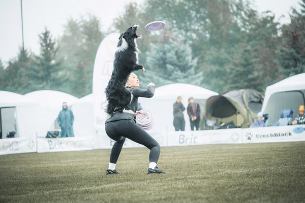 USDDN 26.9.2026 – 26. září 2026