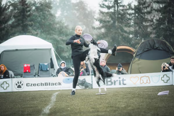 USDDN 26.9.2026 – 26. září 2026