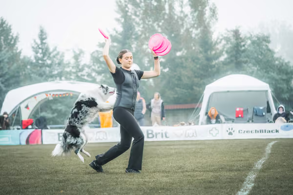 USDDN 26.9.2026 – 26. září 2026