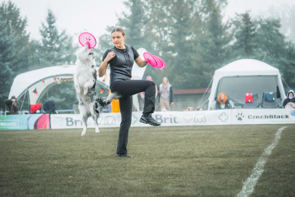 USDDN 26.9.2026 – 26. září 2026