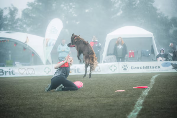 USDDN 26.9.2026 – 26. září 2026