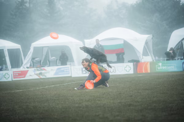 USDDN 26.9.2026 – 26. září 2026