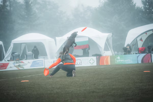 USDDN 26.9.2026 – 26. září 2026
