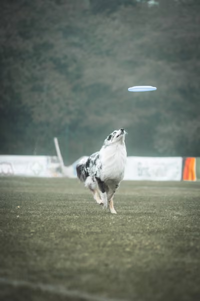 USDDN 26.9.2026 – 26. září 2026