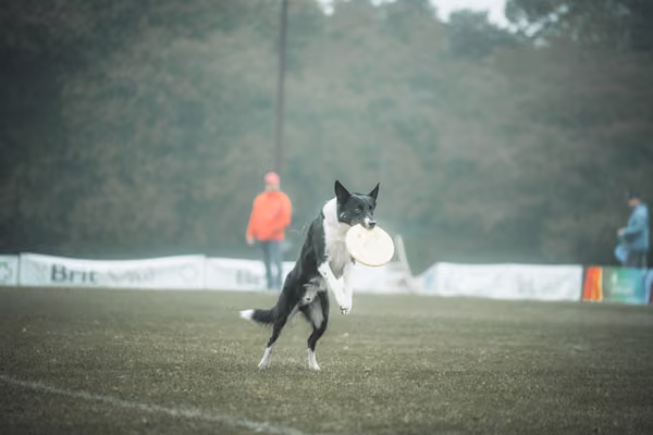 USDDN 26.9.2026 – 26. září 2026