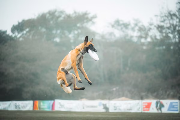 USDDN 26.9.2026 – 26. září 2026