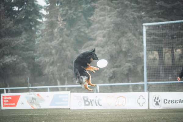 USDDN 26.9.2026 – 26. září 2026