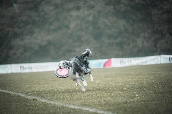 USDDN 26.9.2026 – 26. září 2026