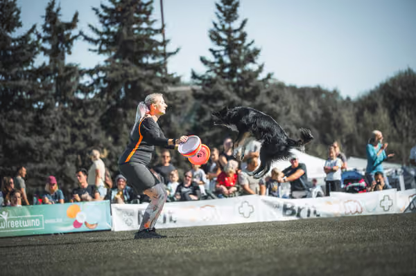 USDDN 26.9.2026 – 26. září 2026