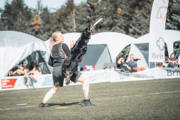 USDDN 26.9.2026 – 26. září 2026