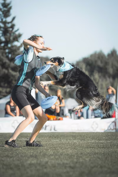 USDDN 26.9.2026 – 26. září 2026