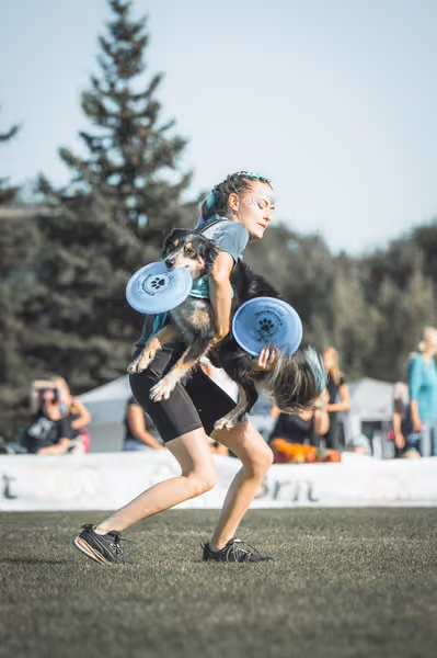 USDDN 26.9.2026 – 26. září 2026