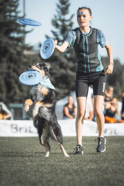 USDDN 26.9.2026 – 26. září 2026