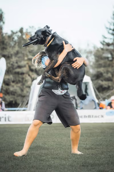 USDDN 26.9.2026 – 26. září 2026