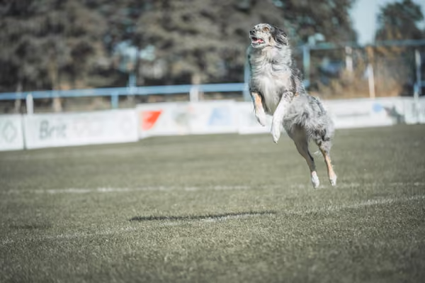 USDDN 27.9.2026 – 27. září 2026